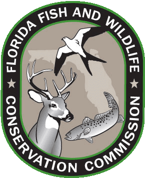 FWC releases new educational course, certificate required to fish