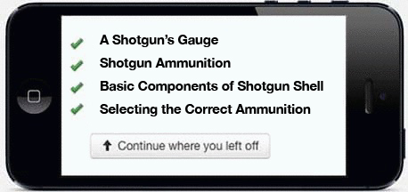 Course outline displaying progress