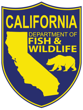 Fishing Licenses