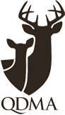 QDMA