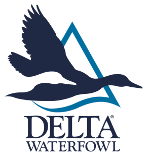 Delta logo